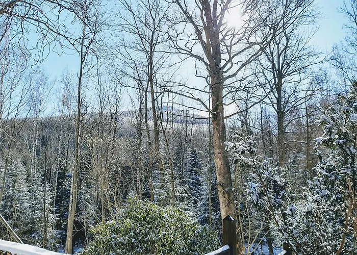 Tumitak Sarnia Family & Friends Шале