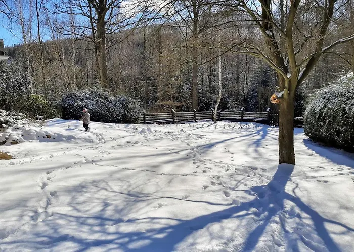 Tumitak Sarnia Family & Friends Шале Карпач