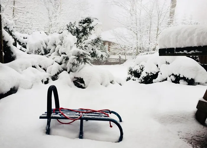 Tumitak Sarnia Family & Friends בקתה קרפאז'