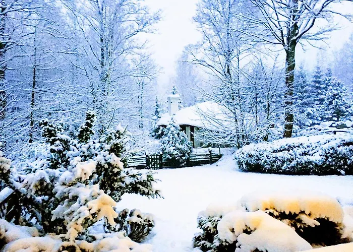 בקתה Tumitak Sarnia Family & Friends *